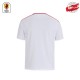Maillot Newteam 2 dos