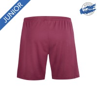 Short Newteam Price Junior