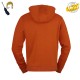Sweat Shirt R Cobra 2