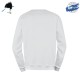 Sweat Shirt B Atton 1