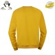 Sweat Shirt Y Warner