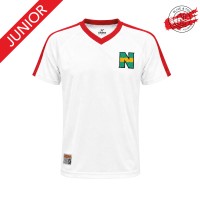 Maillot Newteam 2